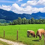 414 Bergblick By Interhome