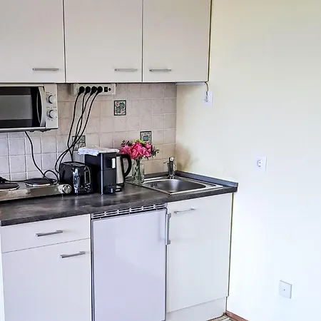 414 Bergblick By Interhome Apartmán Strobl