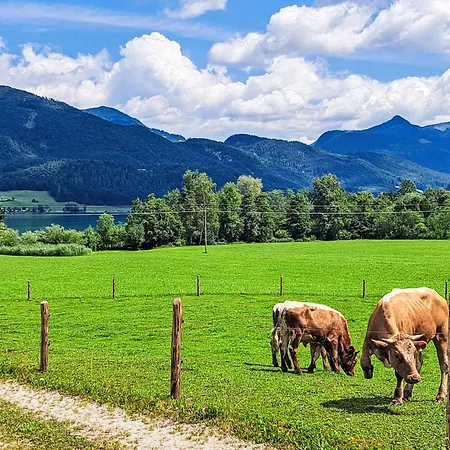 414 Bergblick By Interhome