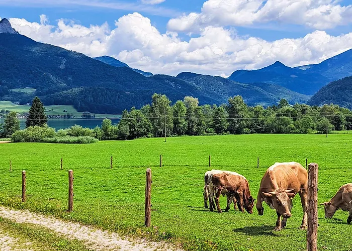 414 Bergblick By Interhome